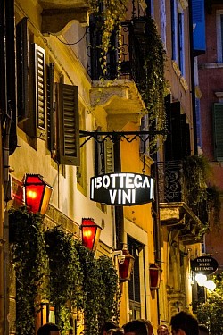 Italy Vibes
