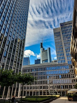 Frankfurt am Main