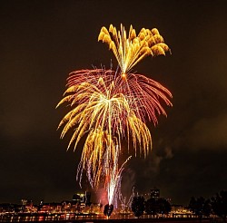 Rheinwiesen Juni 2024