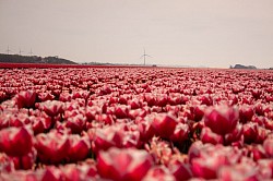 April