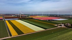 Drohne auf 50m bei Petten