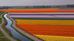 Alkmaar 2025