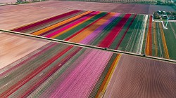 Drohne auf 120m in Flevoland